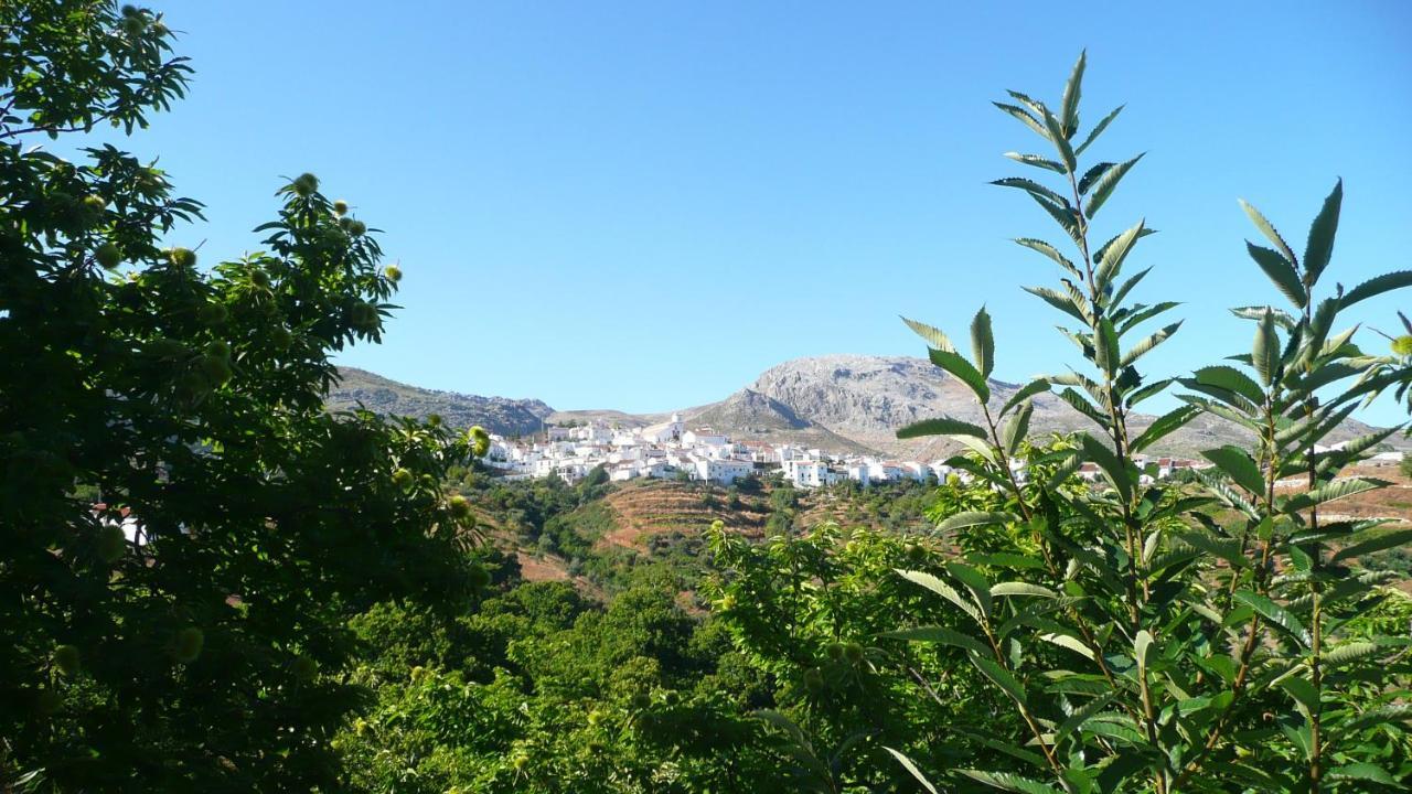 فندق لوس كاستانوس Cartajima المظهر الخارجي الصورة